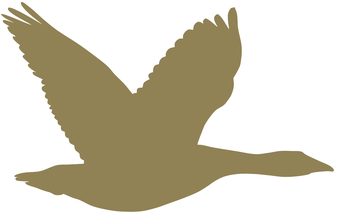 OCRGC Goose 2